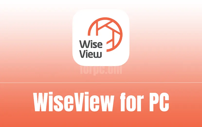 free download wiseview for pc