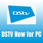 dstv now app for pc download